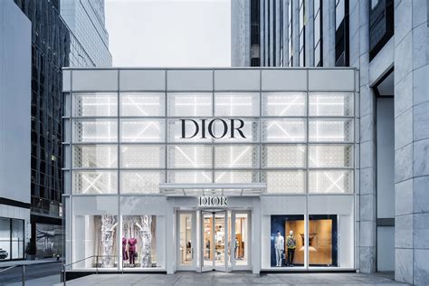 dior aa938f|Shop DIOR Online .